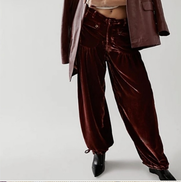 Free People velvet Lotus pants - Picture 6 of 16